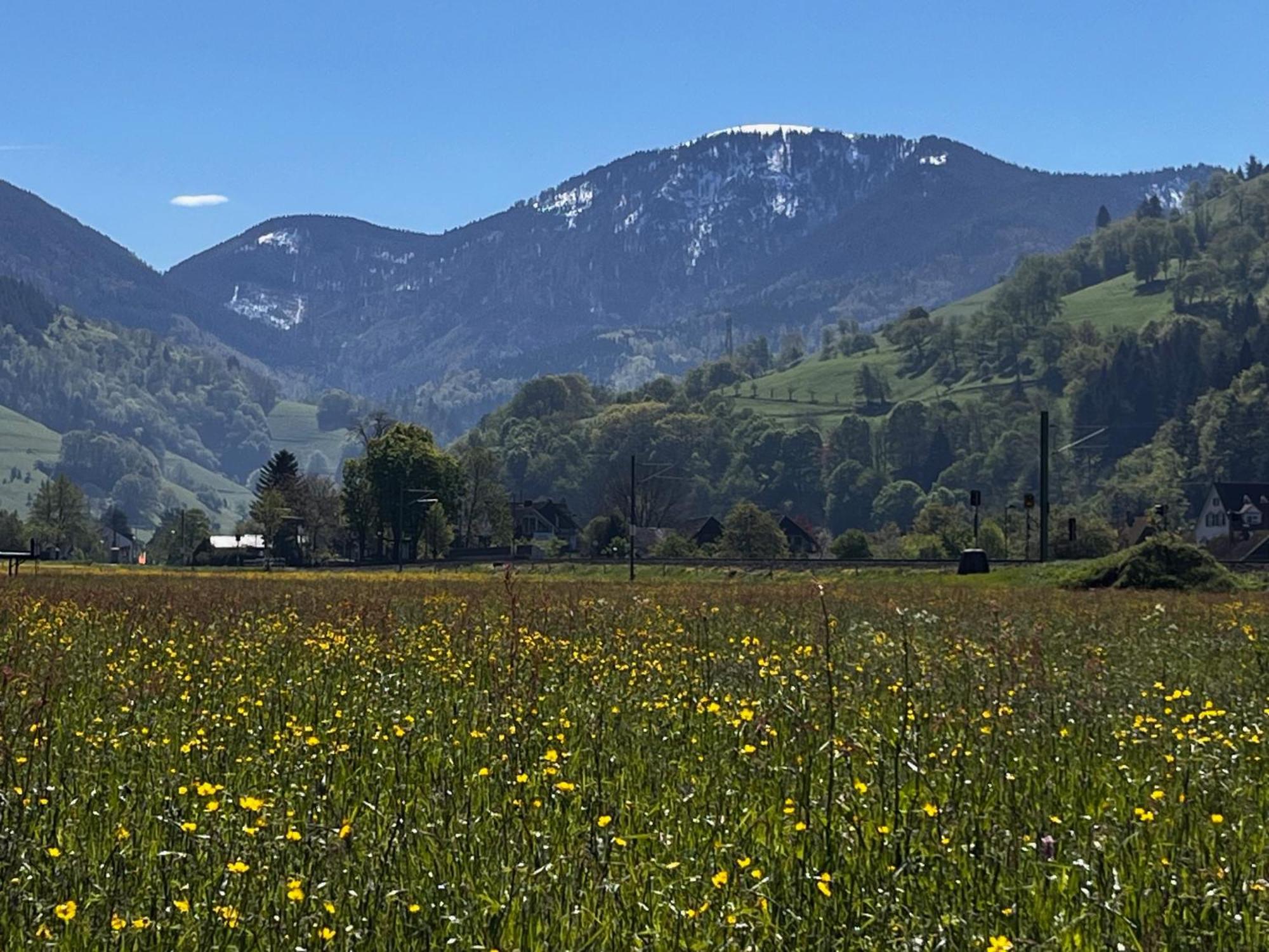 Ferienzimmer Bergblick Münstertal المظهر الخارجي الصورة